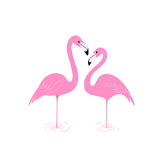 Couple of flamingo, loving couple. Decorative greeting card - wedding invitation with bird.