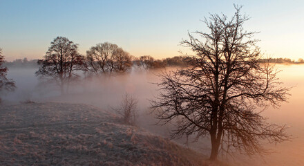 Morning with thick fog over the river. Dawn on a summer morning.