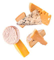 Fresh tasty cheese, high quality image