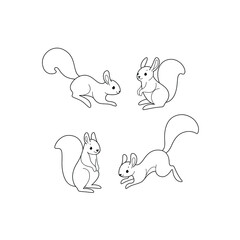 Cartoon squirrel sketch line icon. Сute animals set of icons.