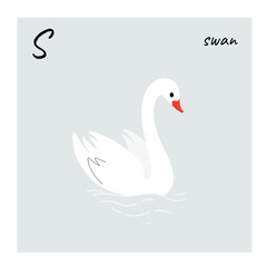Fototapeta premium Cute swan - cartoon bird character. Vector illustration in flat style isolated on gray background.