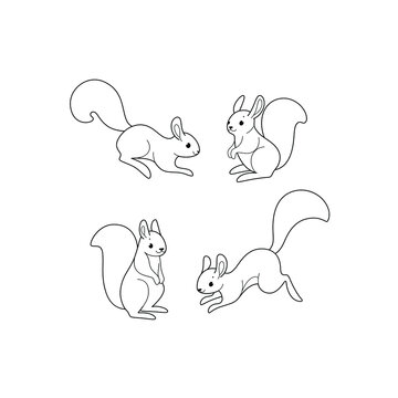 Cartoon squirrel sketch line icon. Сute animals set of icons.