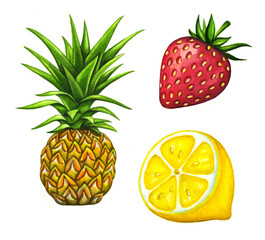 Tropical fruits elements isolated on white background. Watercolor illustrations of pineapple, strawberry and lemon slice.