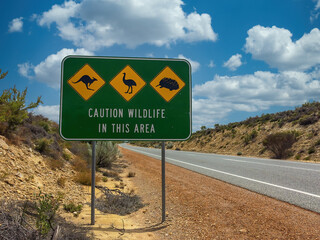 Warning sign for animals in Australia on the road