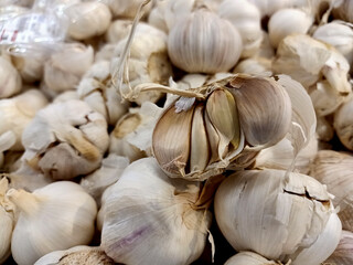 White garlic pile texture. Fresh garlic on market table closeup photo. Vitamin healthy food spice image. Spicy cooking ingredient picture. Pile of white garlic heads. White garlic head heap top view