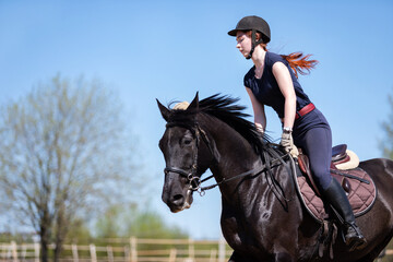 Obraz premium Beautiful girl riding a horse on manege