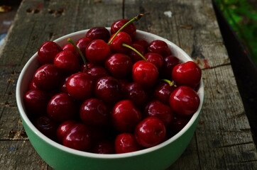 red ripe cherries in a green plate in the garden