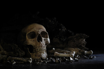 Skulls and bone put on decay timber and dark floor in old room which has dim light and dark...