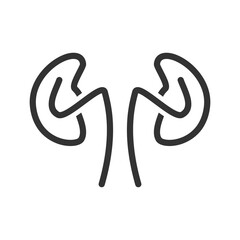 Kidney icon