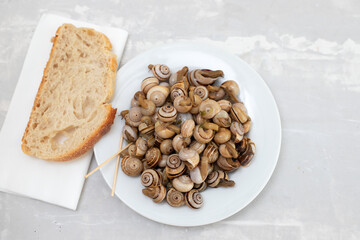 boiled snails in white plate with bread on ceramic background