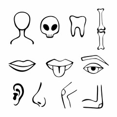 Human body parts icons. Anatomy, human senses. Thin line contour symbols. Isolated vector outline illustration