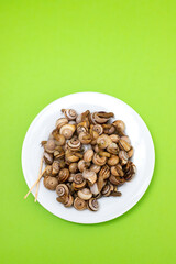 boiled snails in white plate on black green background