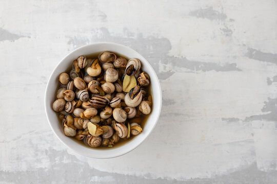 boiled snails in white bowl on ceramic background