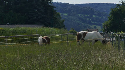 Erzgebirge