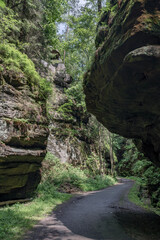Grüner Märchenwald mit hängenden Gärten auf Sandstein - Felsen, Hängepflanzen,...