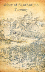 Vineyards in Anney of Sant'Antimo, Tuscany, sketch on old paper