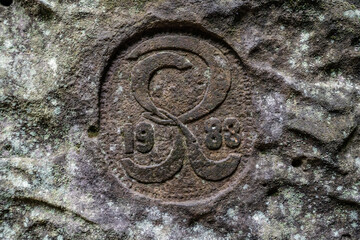 Grüner Märchenwald mit hängenden Gärten auf Sandstein - Felsen, Hängepflanzen,...