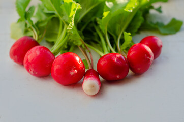 Fresh organic red radishes with green leaves on withe table. Healthy nutrition concept. New crop of vegetables grown in the garden. Harvest 2020. High quality photo