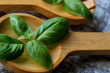 fresh basil leaves in a wooden spoon food background 