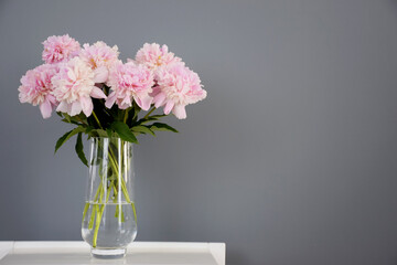 Bouquet of pastel pink peony flowers in bloom in glass vase on white table on gray wall background. Flowers in interior in minimalist style.