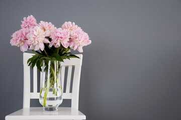 Heap of pink peonies in bloom in glass vase on white chair on gray wall background. Flowers in interior in minimalist style.