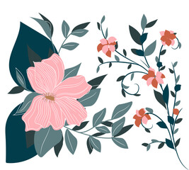 Tropical flowers, flowers, fashionable colors, leaves, nature, bouquet, floral composition