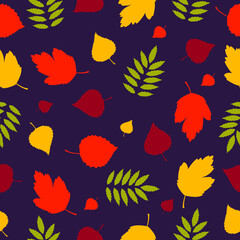 Obraz premium A pattern of colorful bright autumn leaves on a dark background. Vector hand drawing.