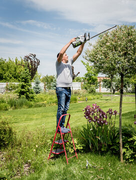 A gardener trimming trees with hedge trimmer