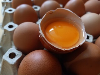 Chicken egg in packed box cardboard with copy space, Eggs contain protein.