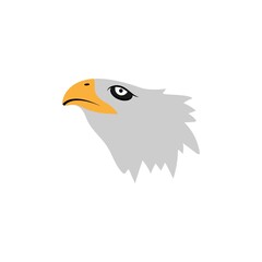 eagle vector design template illustration