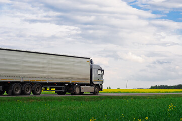 Truck with container on highway, cargo transportation concept. Shaving effect.