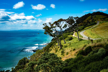 A view along the coastline of the pacific ocean from the famous mangawhai heads walk in northland...