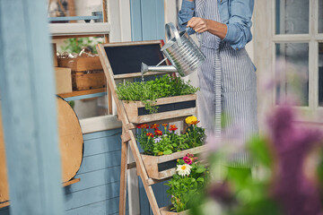 Female botanist taking care of plants outside