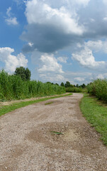 Deserted unpaved hiking trail with clouds against a blue sky