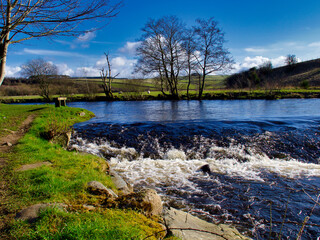 River Doon in springtime at Dalrymple, Scotland