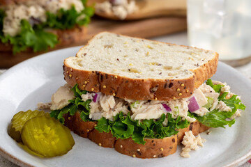 Tuna Fish Sandwich on Multiseed Bread