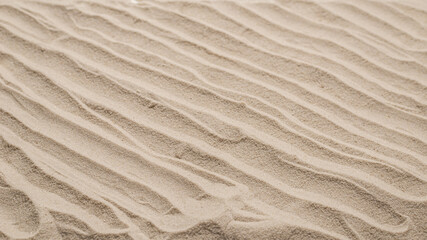 Sand texture closeup. Sand backgound.