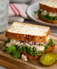 Tuna Fish Sandwich on Multiseed Bread