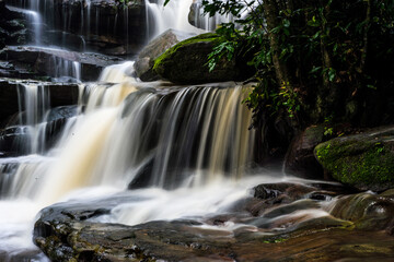 Obraz premium waterfall forest