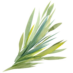painting bouquet grass, isolated on white background, watercolor illustration, colorful bird