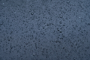 雨
