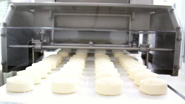 Brazilian snack, traditional cheese bread from Minas Gerais - pao de queijo