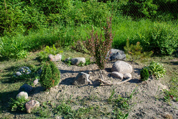 Gray stones on a hill in the garden