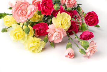 Obraz na płótnie Canvas Fresh Carnation Flower Bouquet Dianthus or Schabaud