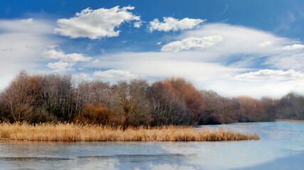 Trees without leaves over the river in autumn