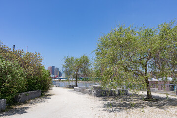 Newtown Creek Nature Walk in Greenpoint Brooklyn during Spring with Green Trees and Plants