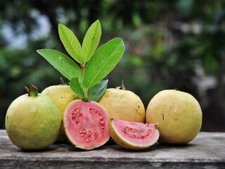 Red guava and green leaves on bokeh background. Tropical fruit concept
