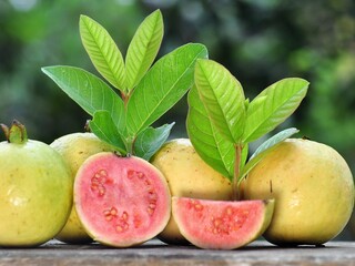 Red guava and green leaves on bokeh background. Tropical fruit concept