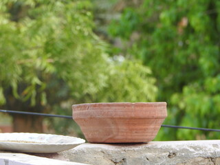 A beautiful Water pot for birds.