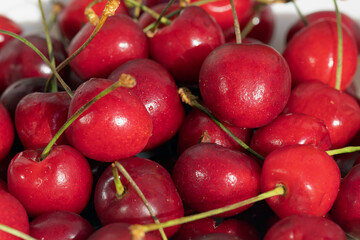 Close up of ripe cherries with stalks. fresh red cherries background. Soft focus